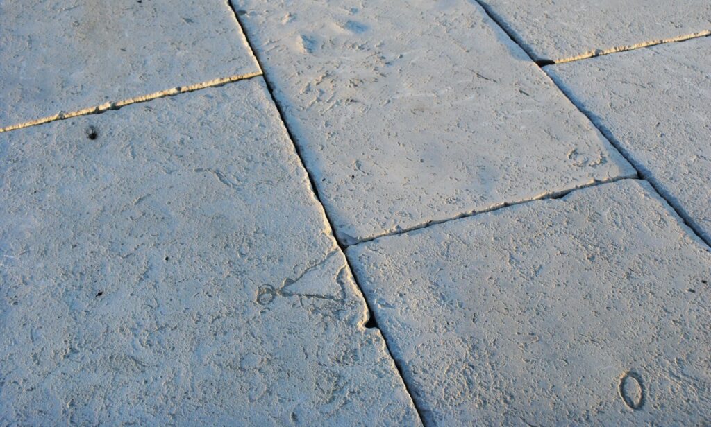 avignon grey